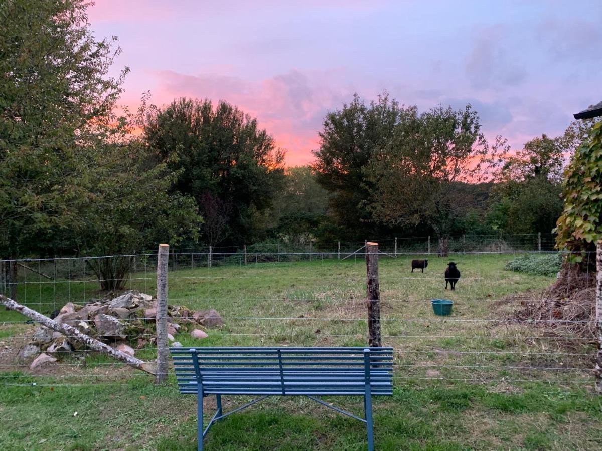 Le Logis De La Chouette Hotel Bauge-en-Anjou Bagian luar foto
